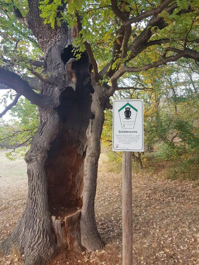 Villa Windschief Thale Luaran gambar